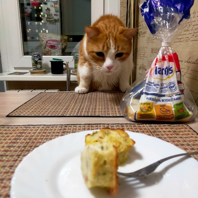 #егобезейшество — котлетковый воришка