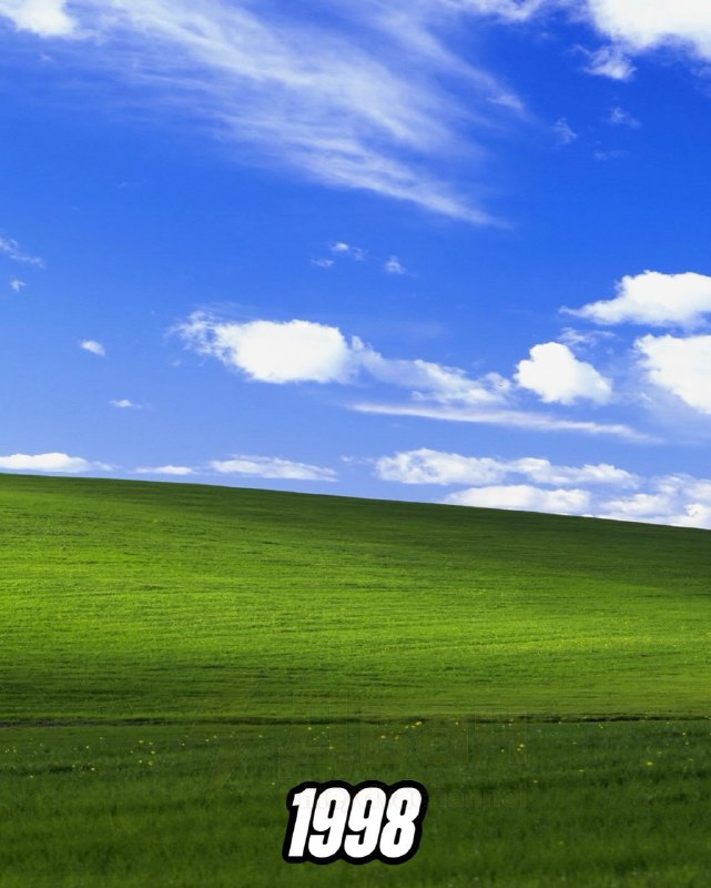 «Безмятежность» В С Ё: легендарный зелёный холм с обоев Windows XP окончательно умер — теперь это об