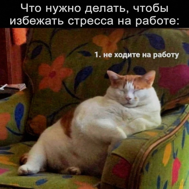 Ночная подборочка
Спать, режим