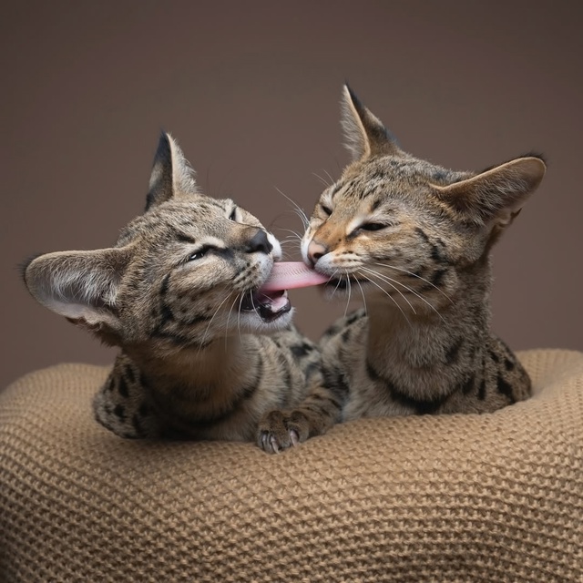 Нильс Якоби — человек с, возможно, самой завидной рабо?...