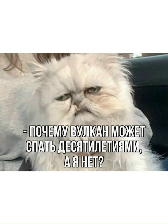 Главный вопрос