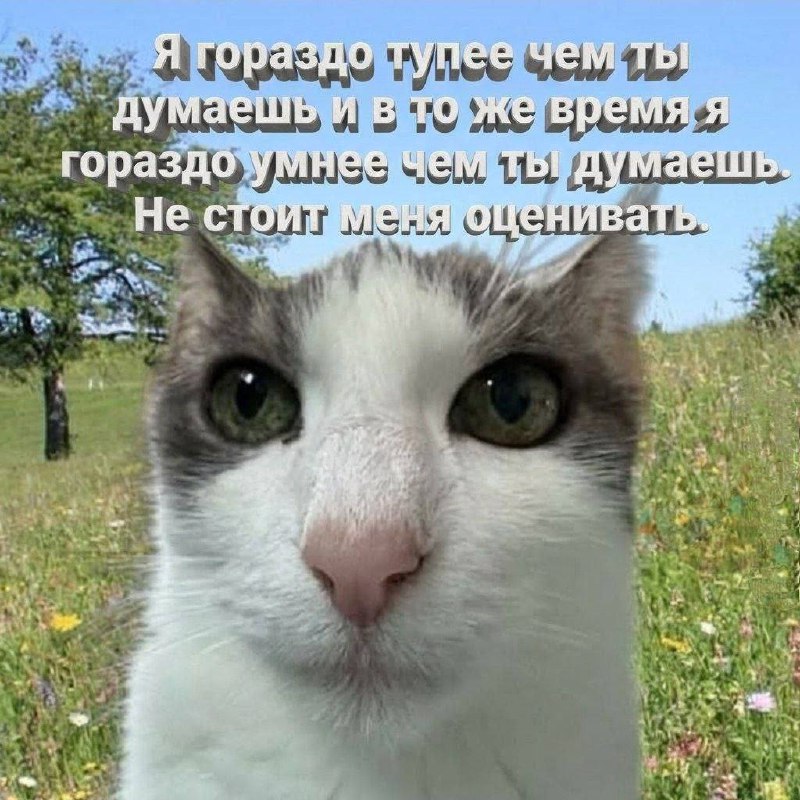 Утренняя подборочка