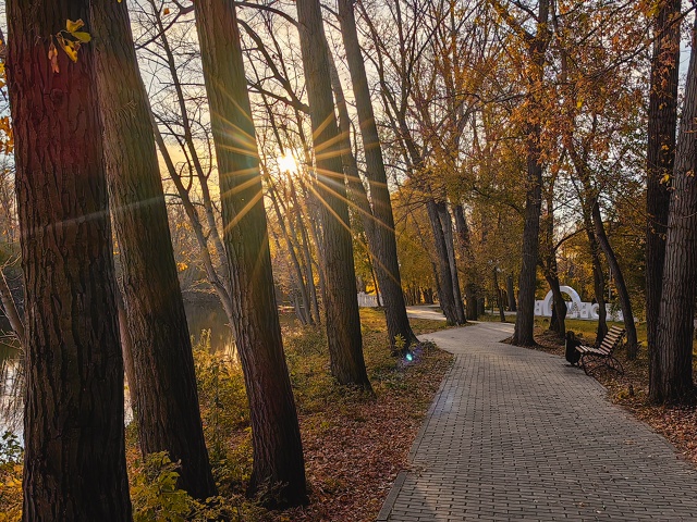 😍 Золотая осень в парке Строителей