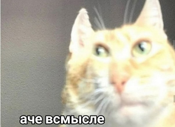 Группа ученых, занимающихся разработкой биологического оружия, объявила об успешной разработке мутан