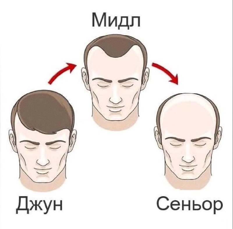 IT иерархия