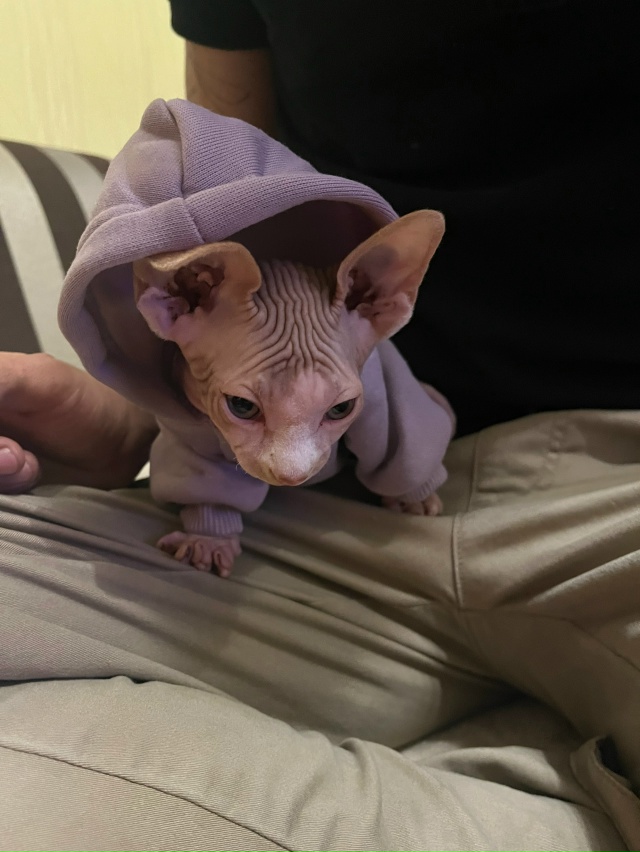 Самый всратый Лютик 🤨