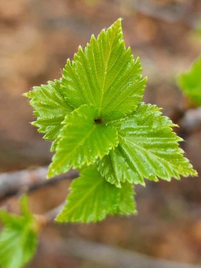 Красота Севера❤
Источник: Дом Фёклы