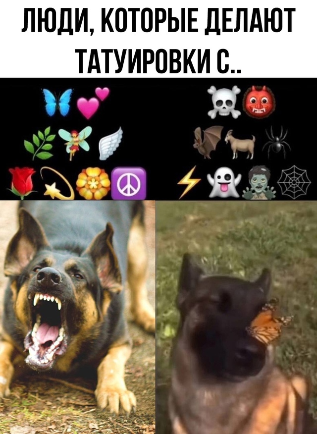 Так и есть