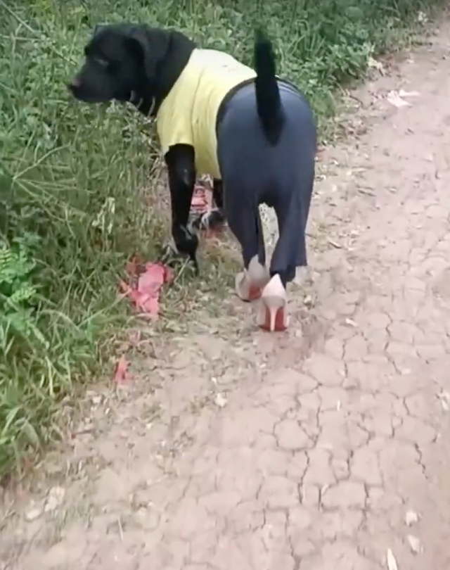 На каблуках ходит лучше меня 😁