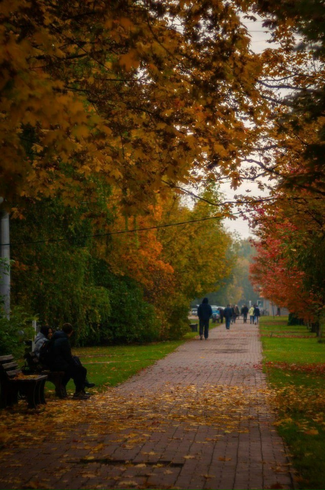 Золотая осень в нашем городке ??
?cshikhalizad