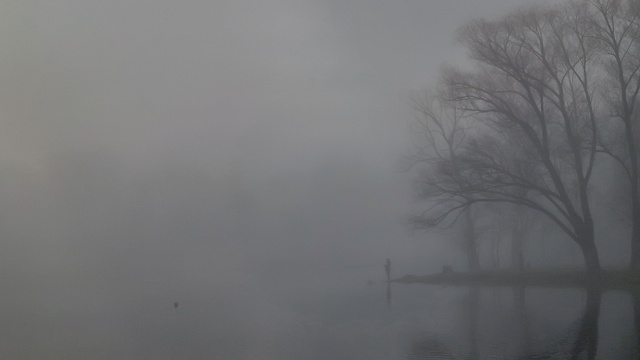 Туманное утро на оз. Пионер... 🤳 (ноябрь'25)