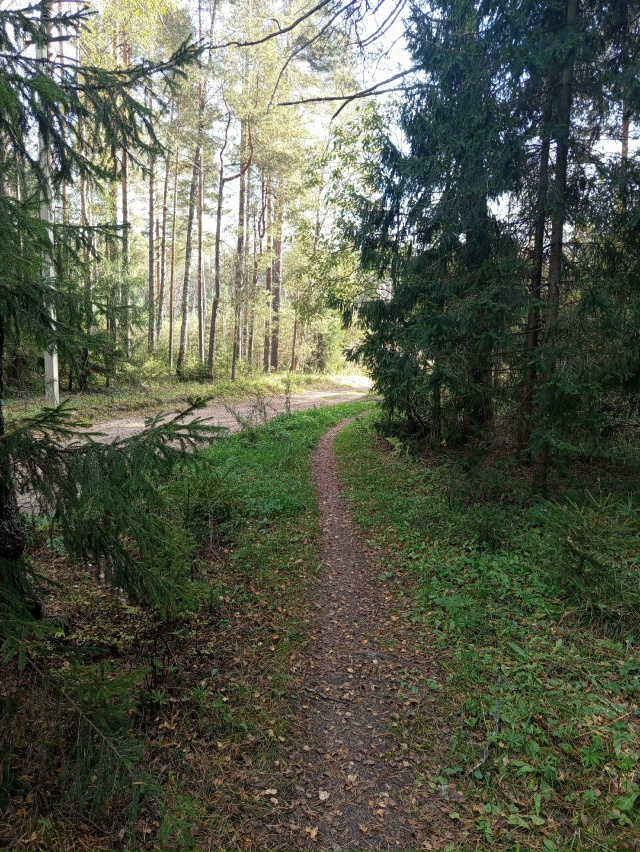 🔥 Крайние теплые деньки. Анон