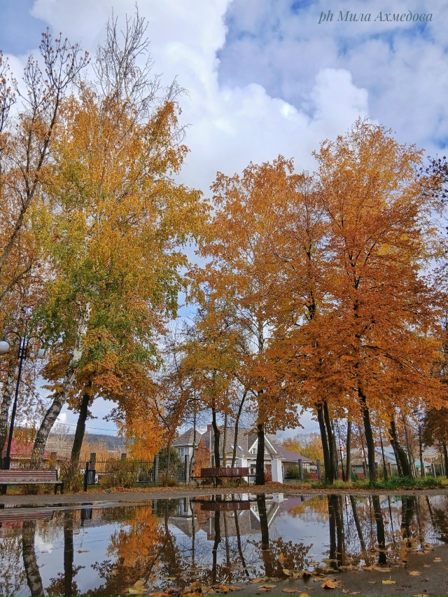 Больничный осенний октябрьский парк.
Отражение дер...