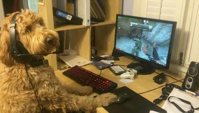 🎮 В России вот-вот появится новый ГОСТ для компьютерн?...