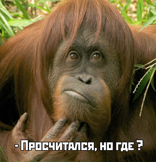 Скандал из-за сахара вёл к… м*федрону
В московском маг...