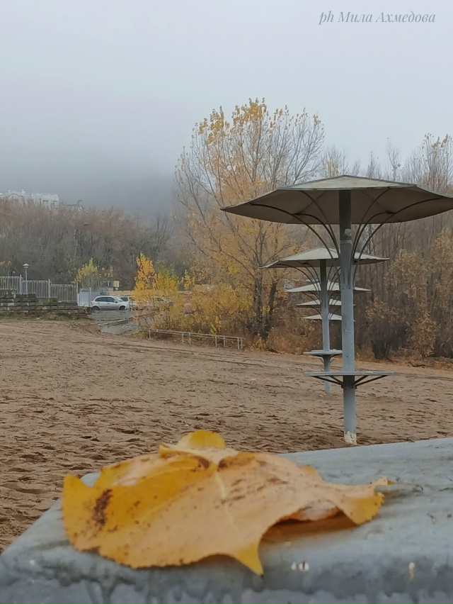 Туманы октября - это напоминание о том,
что все меняетс?...