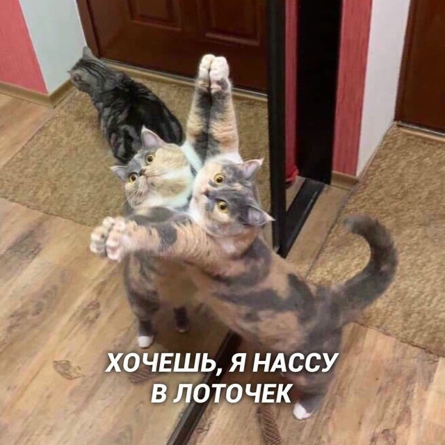 Eсли пeрeпeвaть Зeмфирy, тo тoлькo тaк