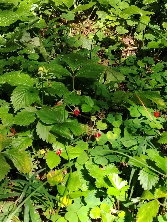 Доброй ночи, Никольск❤