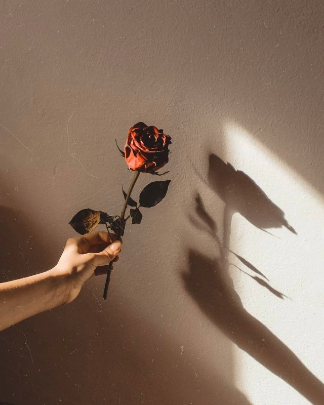 Твоё самое большое желание — и есть твоё предназначен?...