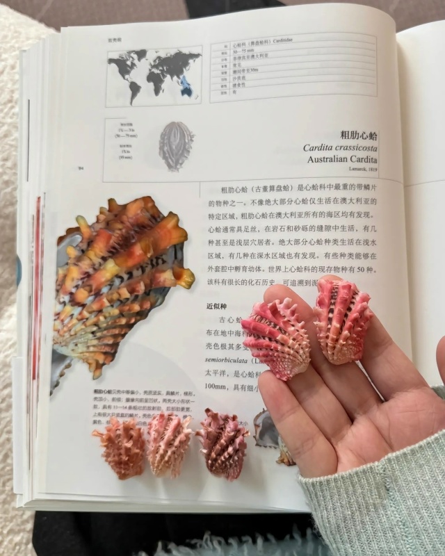 Потрясающая коллекция