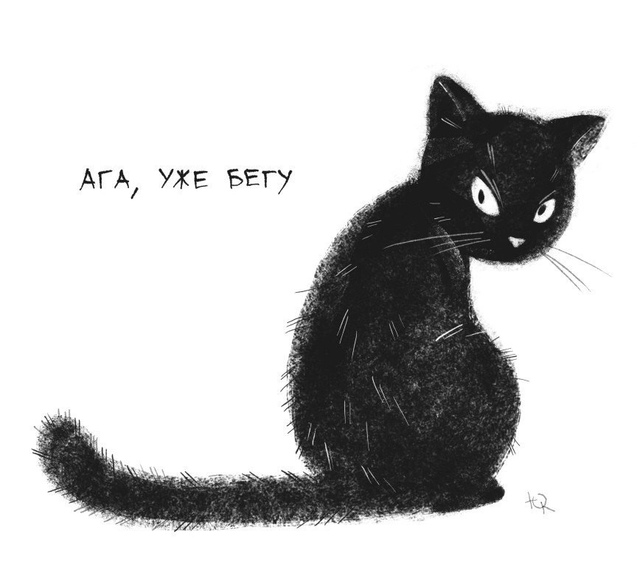 Заведи себе котика, говорили они..