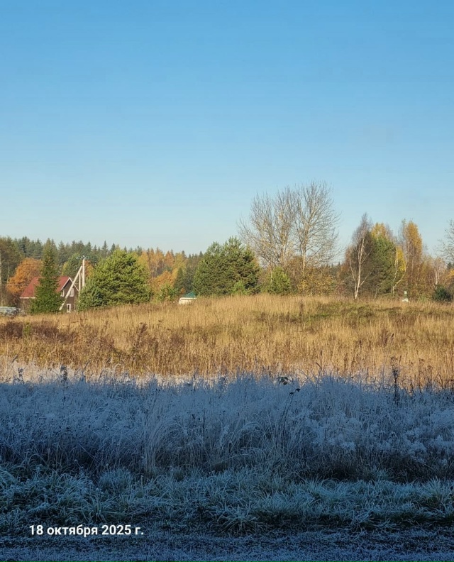 Доброе утро, Окуловка