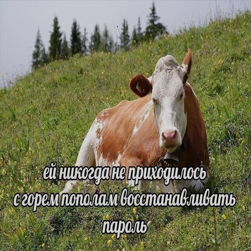 Ночная подборочка
Спать, режим