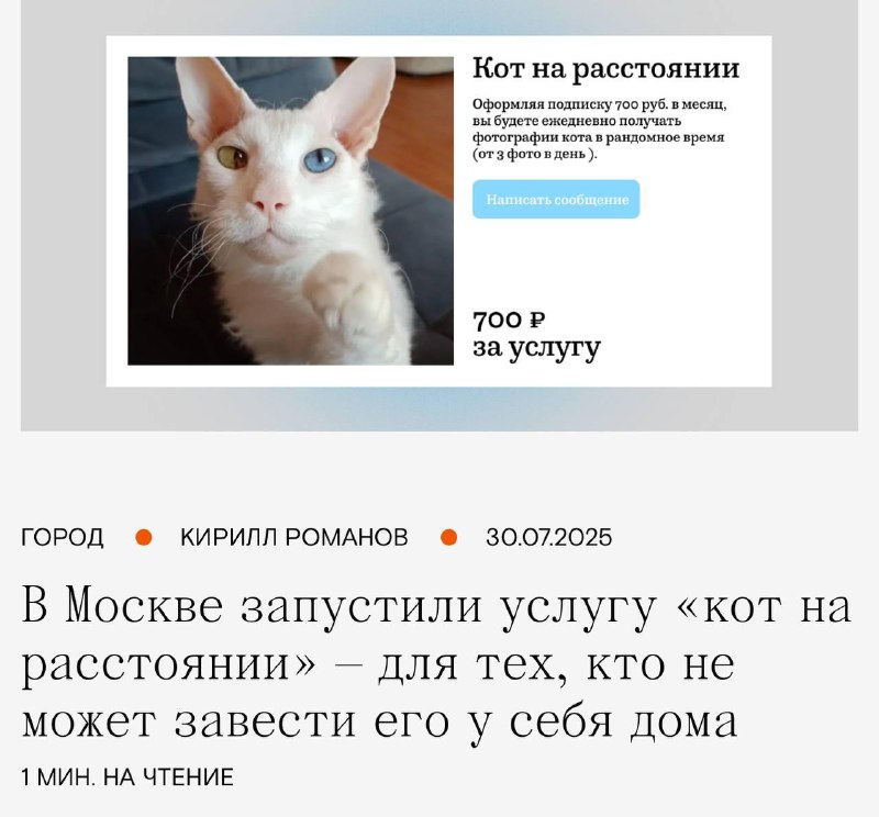 В Москве запустили подписку «Кот на расстоянии»
Всего за 199 рублей в неделю вам будут присылать м