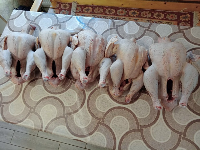 Здравтсвуйте!
Продаётся мясо домашней индейки!
Порода ...