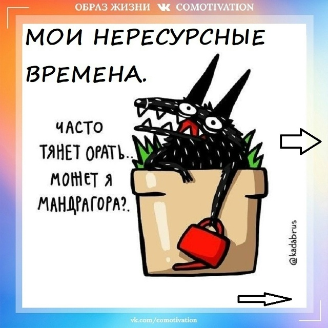 НЕМНОГО О СЕБЕ.