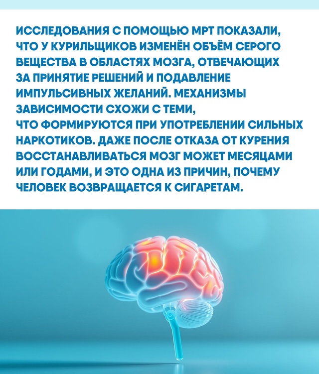 Долговременные изменения в мозге объясняют силу тяги ?...