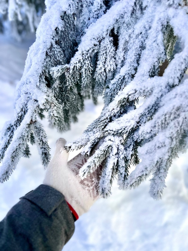 Зимний Рыбинск ❤
📷 Elizaveta Stanislavovna