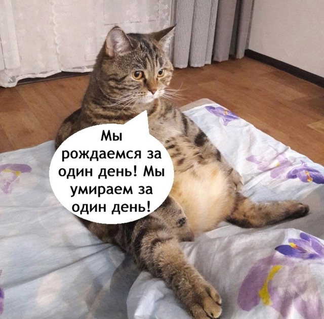 Смирение это пусть к успеху