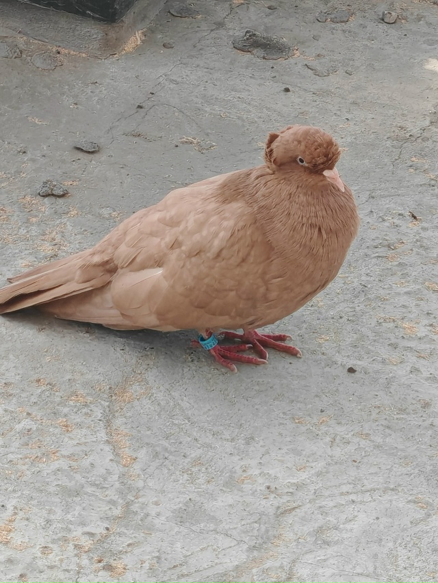 Ещё один заблудившийся, никто не узнает?