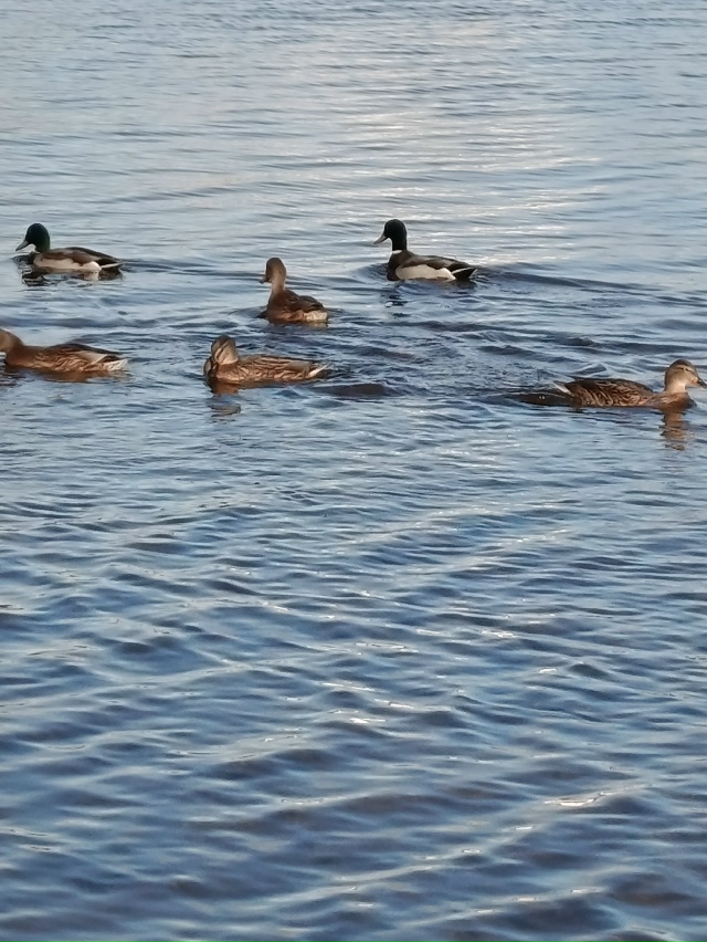 Чкаловск, солнечный день.05.11.25