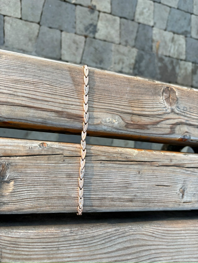 Нашел в новом парке,отнес в полицию