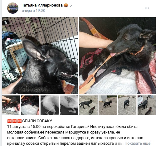 Пост добра. Распространите, пожалуйста.