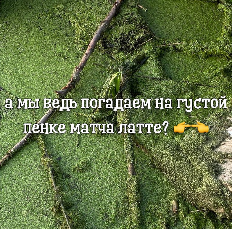 Утренняя подборочка