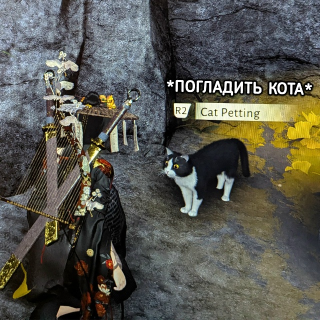 Котики в Where Winds Meet ведут себя максимально реалистично
...