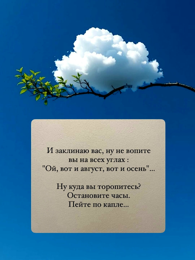 Август - это когда ты просыпаешься, а тебе уже 35, хотя то...