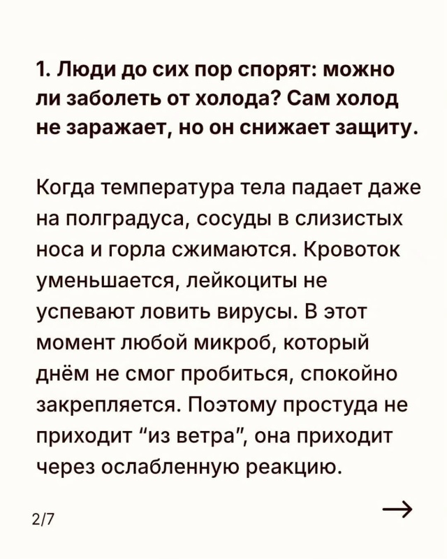 «Шапка не лечит, но именно с неё начинается иммунитет» ...