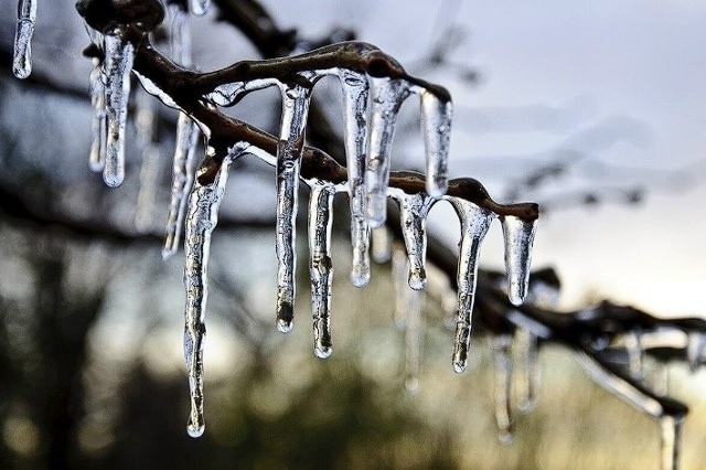 💦 В Прикамье в выходные ожидается новая волна тепла
М...