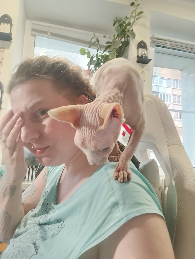 Всратые дети: Хром и Лапочка. Если Хром свой интеллект ?...