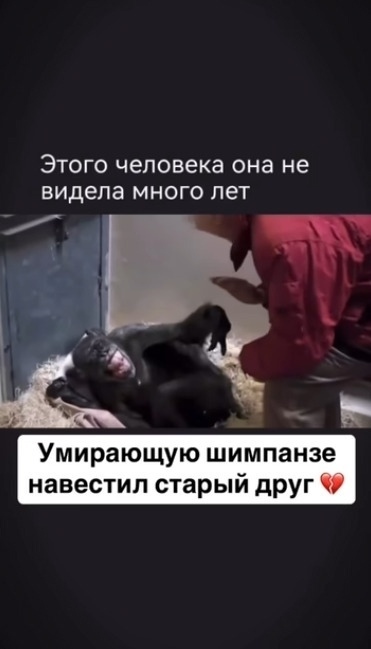 А она уже не о том подумала, ох...