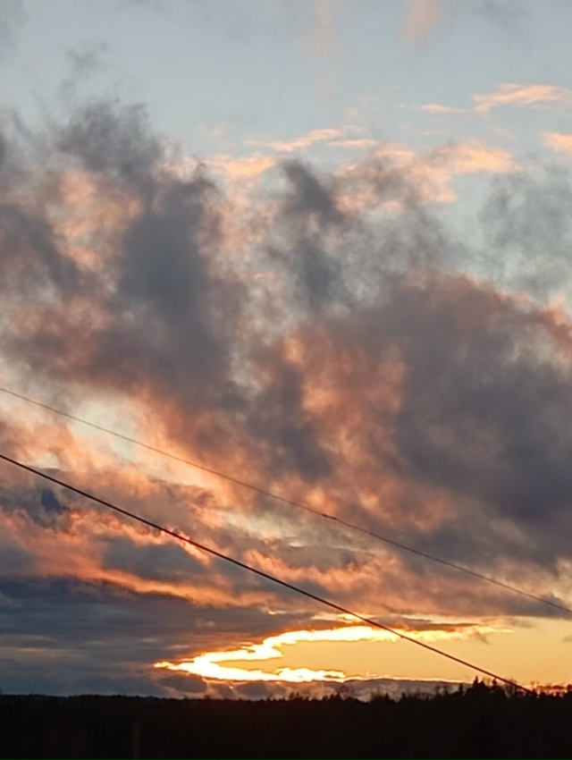 В ноябрьском закате - вся палитра уходящей осени...(25.11.25...