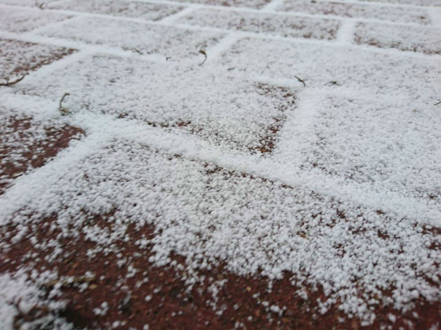 ❄️ В Курской области 16 ноября ожидается небольшой сне...