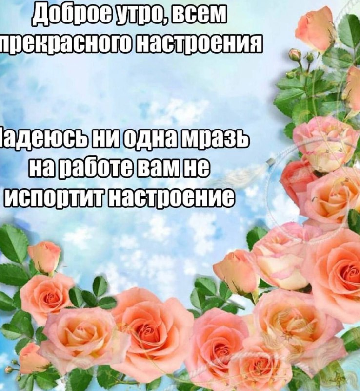 Утренняя подборочка