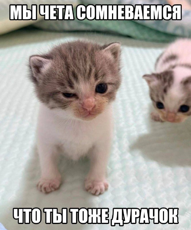 Утренняя подборочка