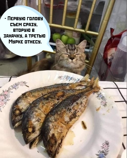 Мечты😆