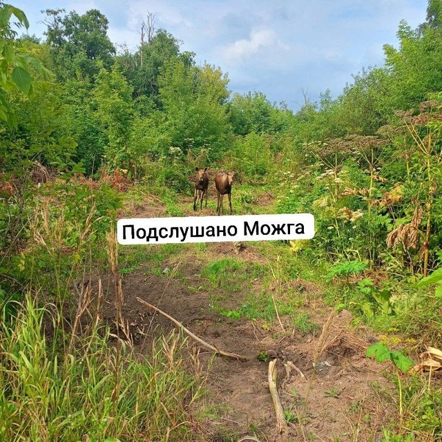 Вот они, красавчики 👍
Работники моста у 